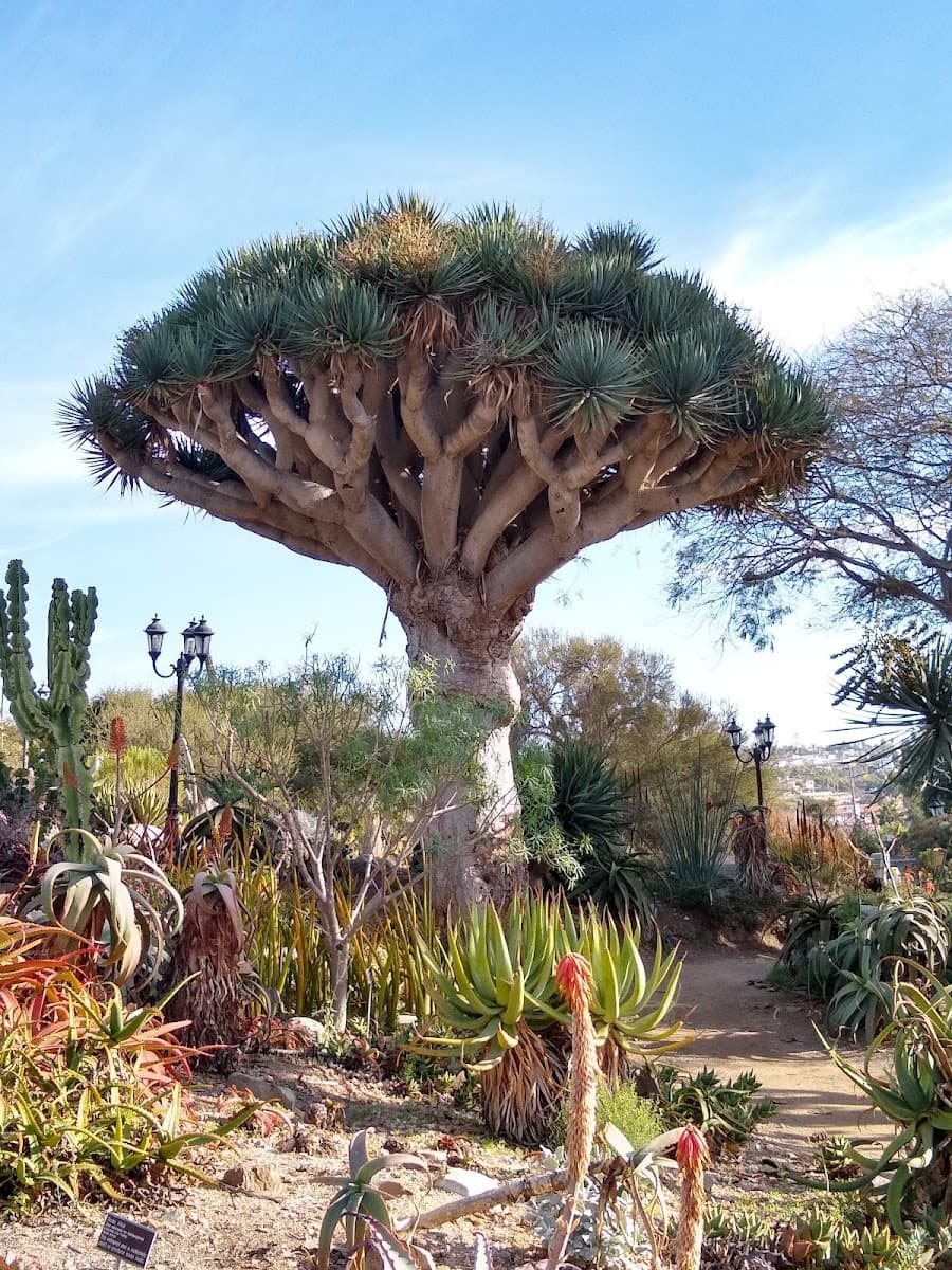 San Diego Botanic Garden