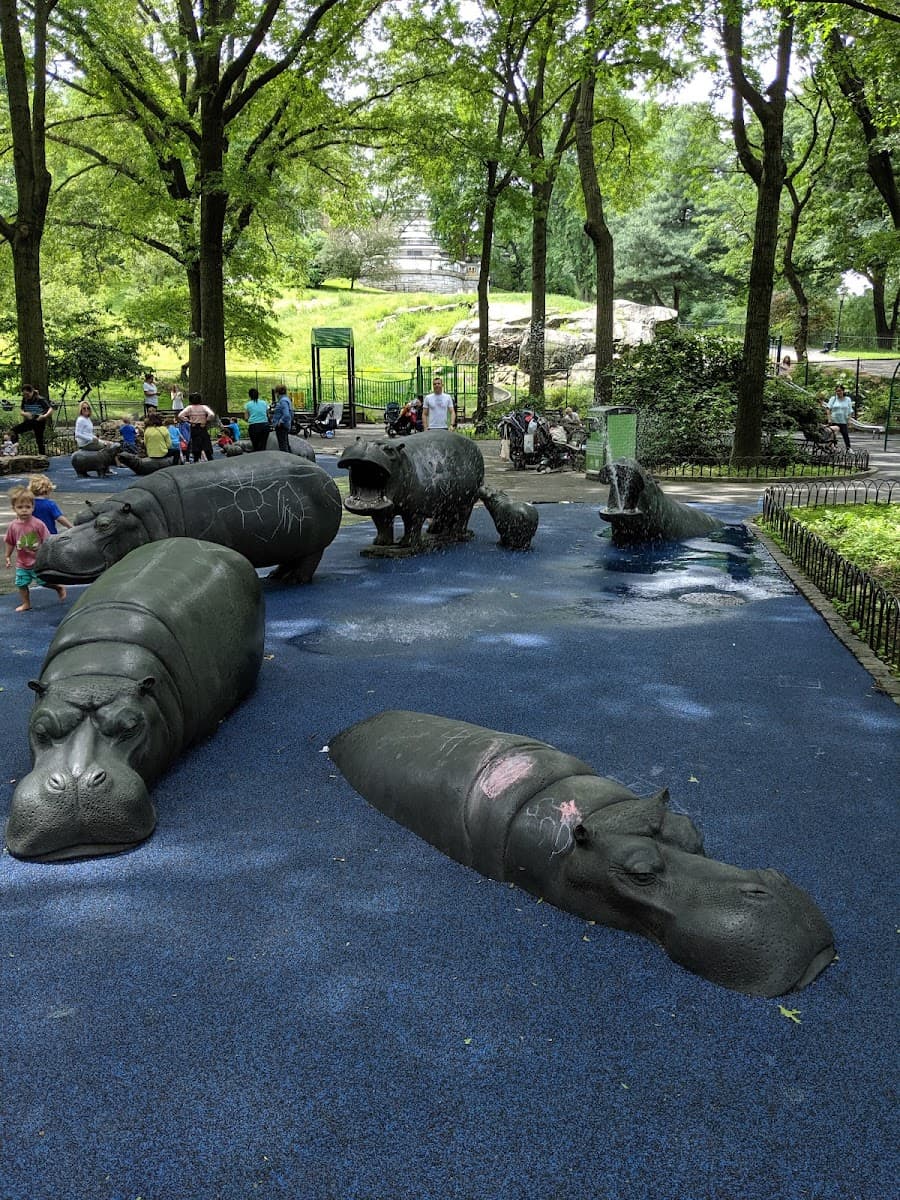 Hippo Playground