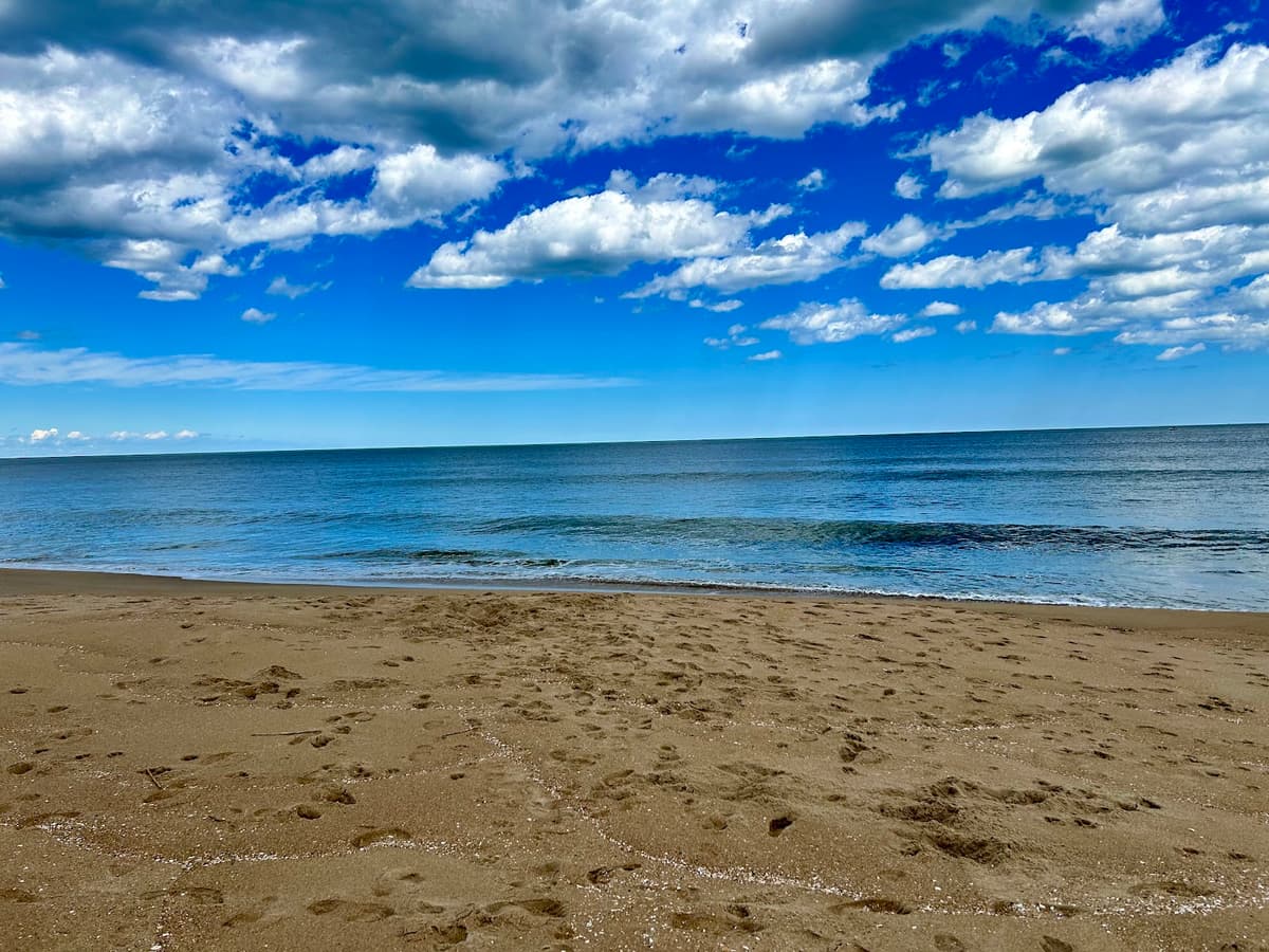 Beach Park — photo 1 of 1