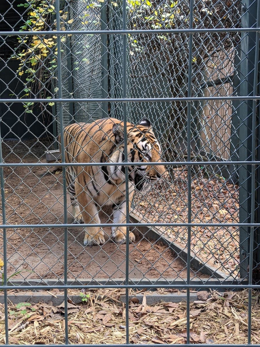 Bee City Zoo & Honey Bee Farm