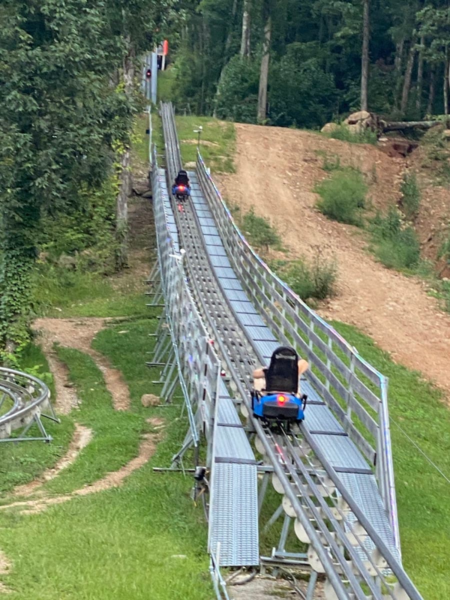 Goats on the Roof of the Smoky Mountains — photo 1 of 1