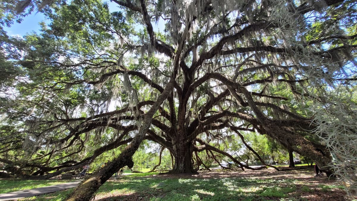 Loch Haven Park — photo 1 of 1