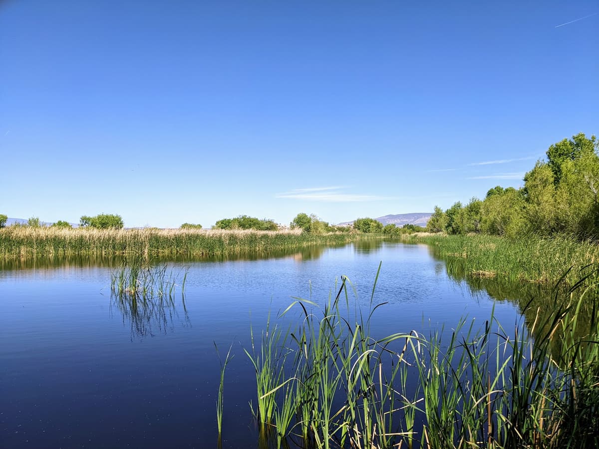 Sedona Wetlands Preserve — photo 1 of 1
