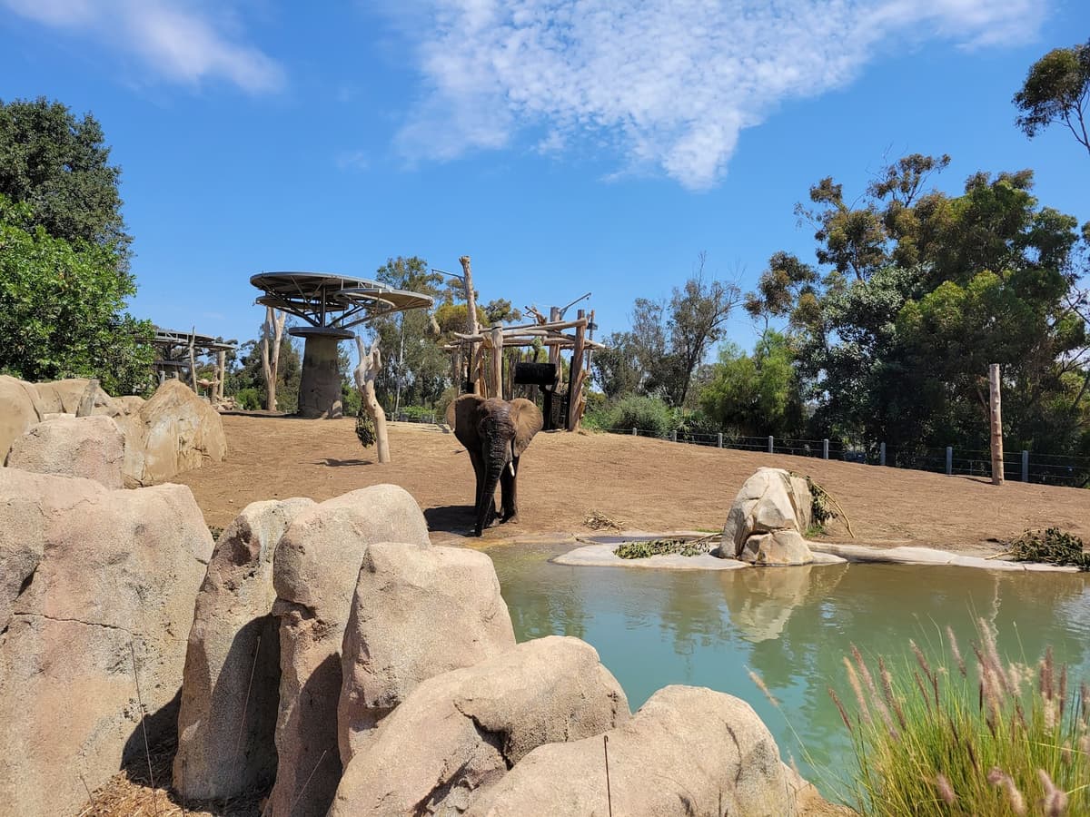 San Diego Zoo Wildlife Alliance