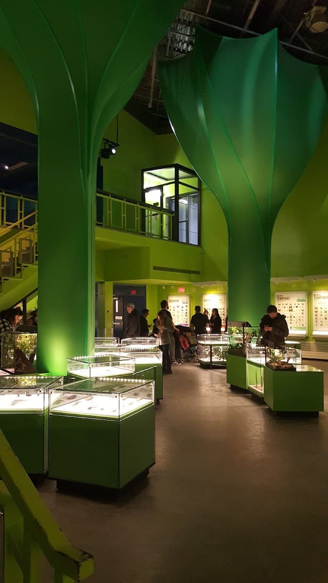 Montreal Insectarium — photo 1 of 1